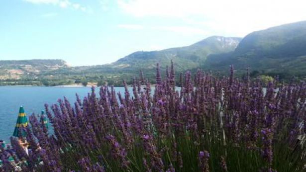 Parco Nazionale d'Abruzzo