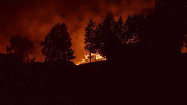 Termoli: incendio località San Giacomo