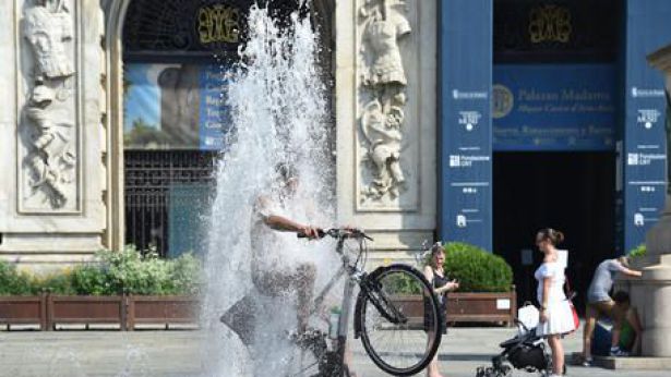 Afa nelle città