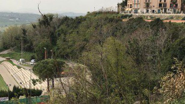 L'area del Muro delle Lame