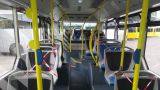 Bus urbano