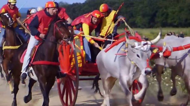 San Martino in Pensilis: la corsa dei "carresi"