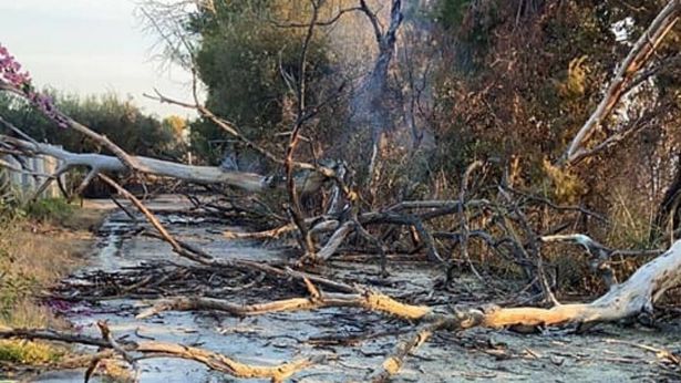 Ortona: l'incendio in località Acquabella