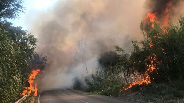 Fuoco sulla provinciale