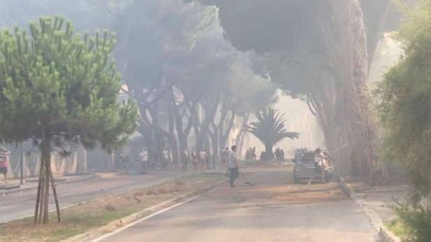 La pineta dannunziana