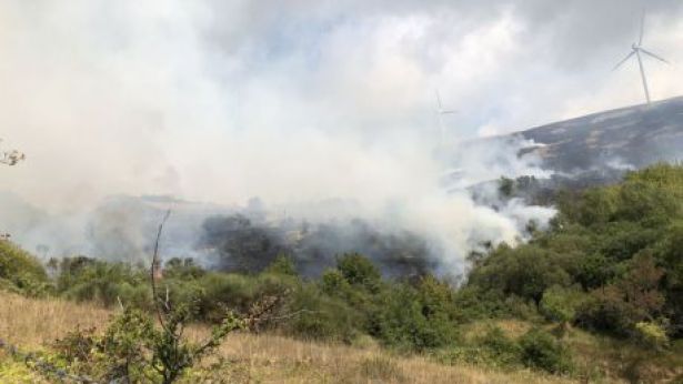 Fiamme in montagna