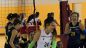 Vasto Volley