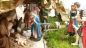 Il Presepe realizzato in Santa Maria Maggiore