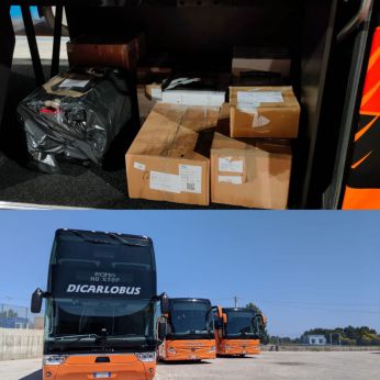 I pacchi trasportati dai mezzi della Di Carlo Bus