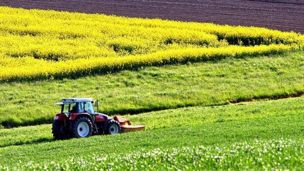 Agricoltura