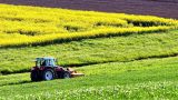 Agricoltura