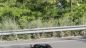 La moto sulla quale viaggiava D'Alberto