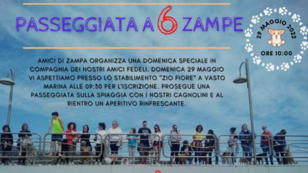 Amici di Zampa