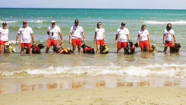 I cani addestrati per i salvataggi in mare