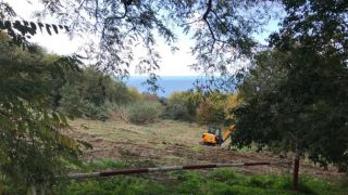 Parco urbano di Via Trave