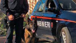 Unità cinofila dell'Arma dei Carabinieri