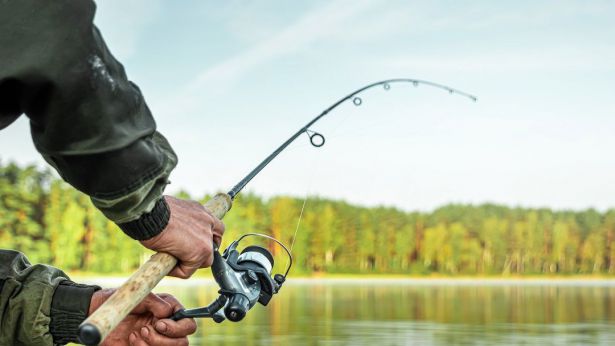 Pesca