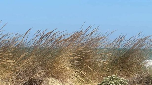 Le riprese nell'area della Riserva di Punta Aderci