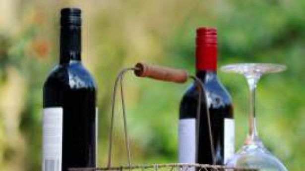 Il Montepulciano d'Abruzzo