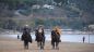 Vasto: l'arrivo dei Re Magi