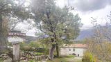 Un agriturismo