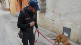 Una unità cinofila