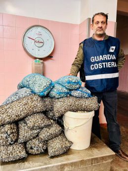 Le vongole sequestrate