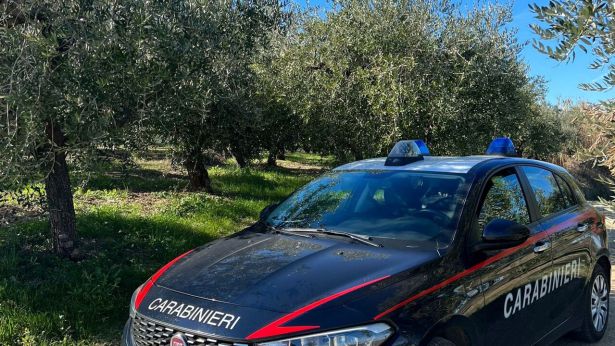 Carabinieri nelle campagne