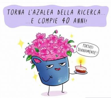 L'azalea della ricerca