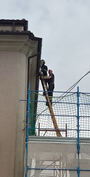 Il recupero del gabbiano da parte dei Vigili del Fuoco