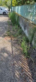 San Salvo: lo stato di abbandono di aree pubbliche