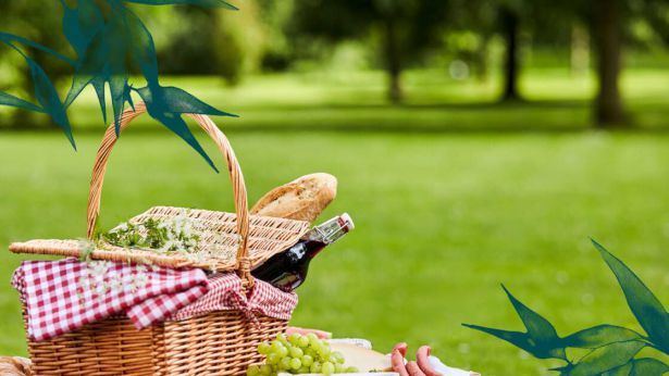 Pic nic di Ferragosto