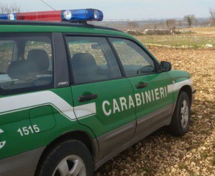 Carabinieri Forestali