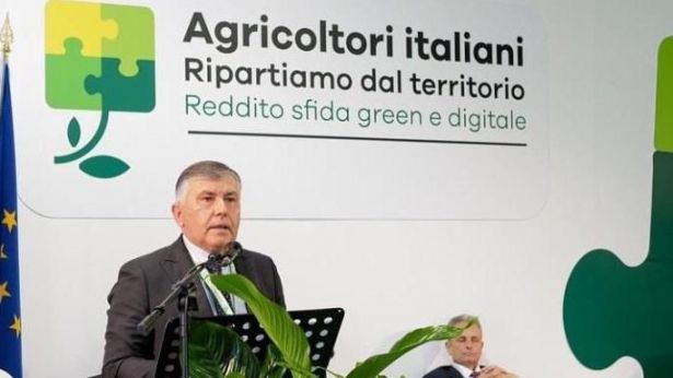 Sichetti della CIA