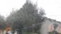 Un albero abbattuto vicino ad una scuola