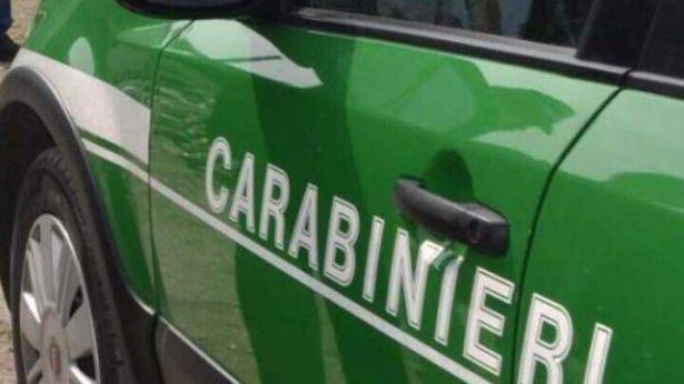 Carabinieri Forestali