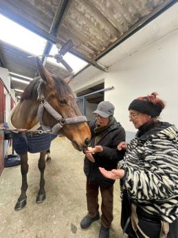 Vinci, il cavallo della compianta prof.ssa Mugoni