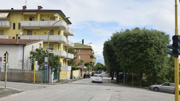 San Salvo: i lecci di via Madonna delle Grazie
