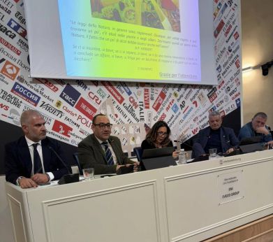 Convegno a Palazzo Grazioli