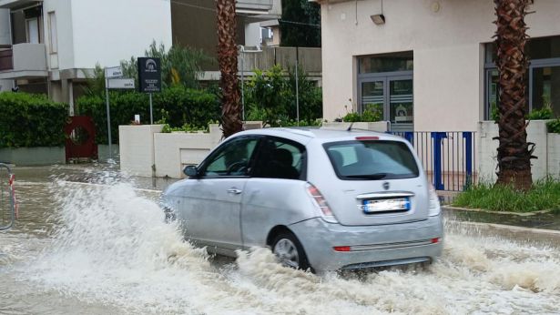 Viale Dalmazia