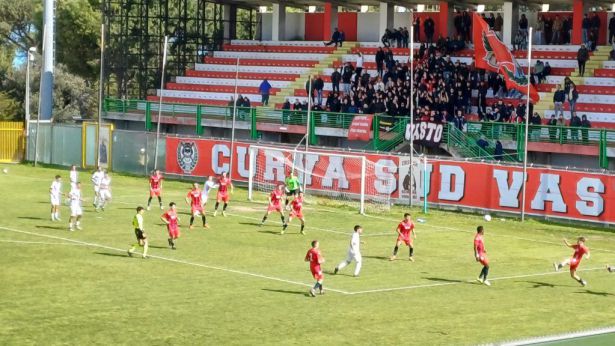Pro Vasto