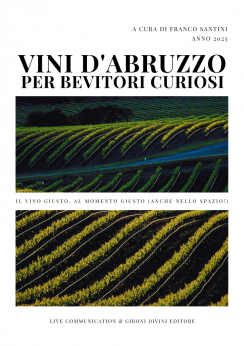La copertina della guida dei vini