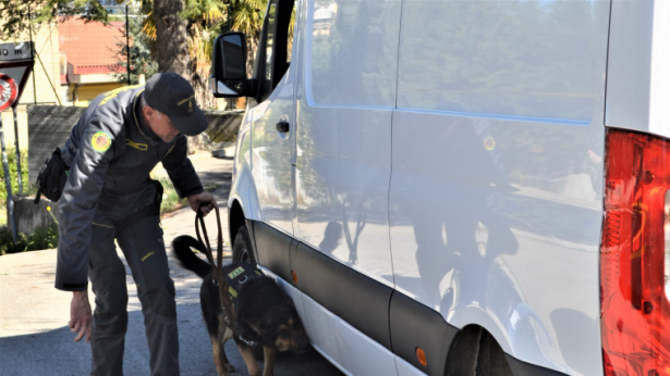 Controlli della Guardia di Finanza con i cani antidroga