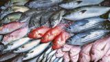 Pesce