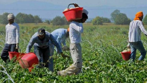 Il caporalato nella piana del Fucino