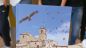 Gissi: Fiabe di Paese