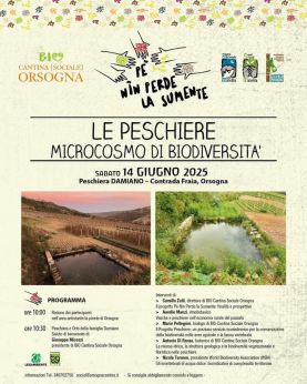 Orsogna: locandina