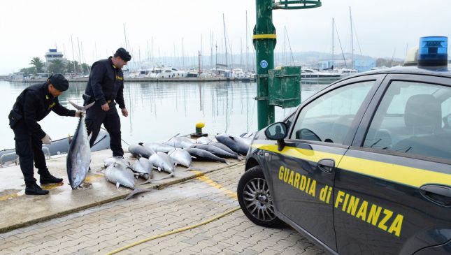 La Guardia di Finanza contro la pesca di frodo