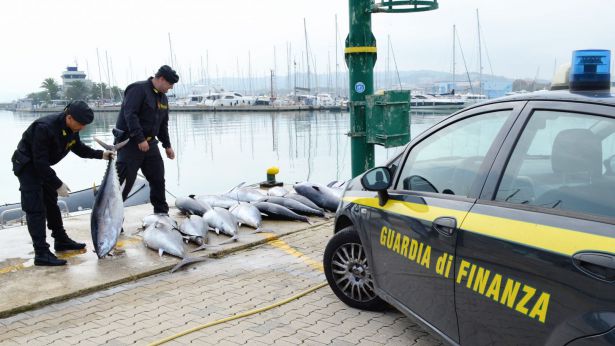 La Guardia di Finanza contro la pesca di frodo