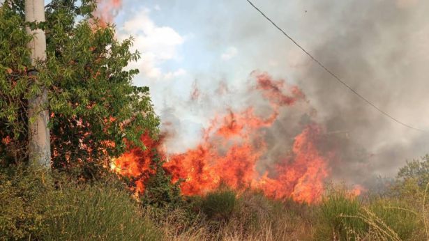 Fuoco nei boschi